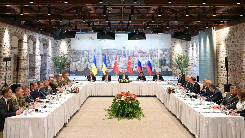 В Киеве раскрыли планы Украины перед новым раундом переговоров с Россией