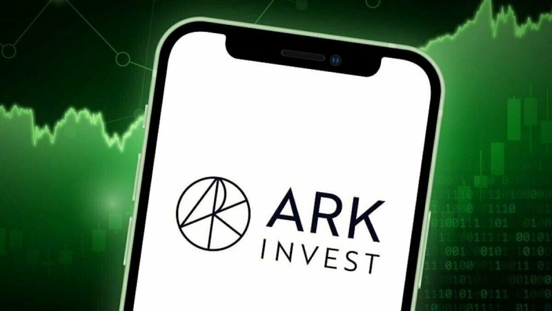 Компания Ark Invest Кэти Вуд купила акции Circle Internet Group и SpaceX