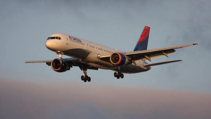 Delta Airlines подала заявку на регистрацию товарного знака в России